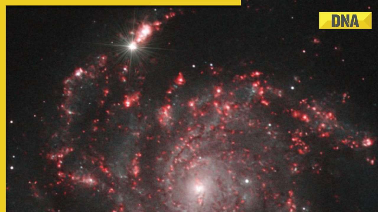 超新星!罕见的恒星爆炸和消失的宇宙事件记录:知道它是什么，它是如何发生的?
